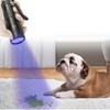 JOR UV Flashlight with AAA Batteries, Pet Pee & Stain
