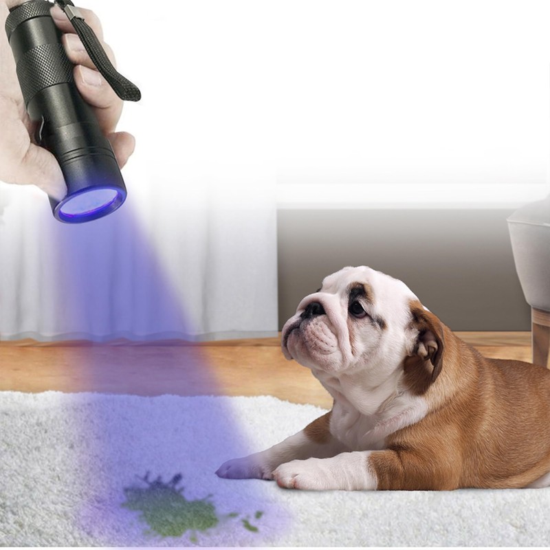 JOR UV Flashlight with AAA Batteries, Pet Pee & Stain