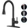 Matte Black Kitchen Faucet with Pull Down Sprayer - High