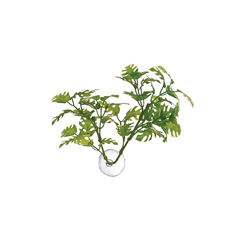 Zoo Med Betta Plant, Realistic Looking Window Leaf Plant for