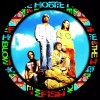 HOOTIE AND THE BLOWFISH BAND EXCLUSIVE SET OF FIVE LARGE