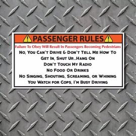 Wilson Graphics Inc. 3" x 6" Car Rules Warning Stickers Funny Safety Instructions Dash Labels Decals