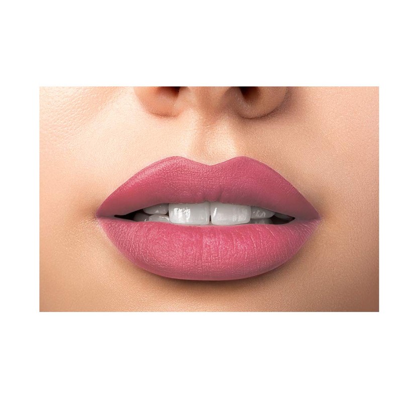 L'Oreal Paris Colorish M Matte N 249 Dressy Pink