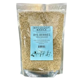 Bulk Rye Berries - Certified 100% Organic - Extra Clean - Great for Mushroom Spawn, Cooking, Brewing & Distilling - Triple Washed, non-GMO and in Resealable Bag - by Mycology Basics (2.0 lbs)