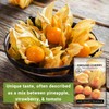 Sow Right Seeds Sow Right Seeds - Ground Cherries Seeds
