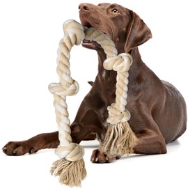 Fida Dog Toy, Rope, Medium Dogs, Large Dogs, Chew Toy, Natural Cotton, Toothpaste, Stress Reliever (1pcs, Beige)