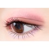 Excel CX03 Real Close Shadow (Puffy Sleeve) Nuance Color Eyeshadow