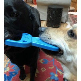 SodaPup - Natural Rubber Pull Tab Nylon Toy - Chew Toy - For Heavy Chewers