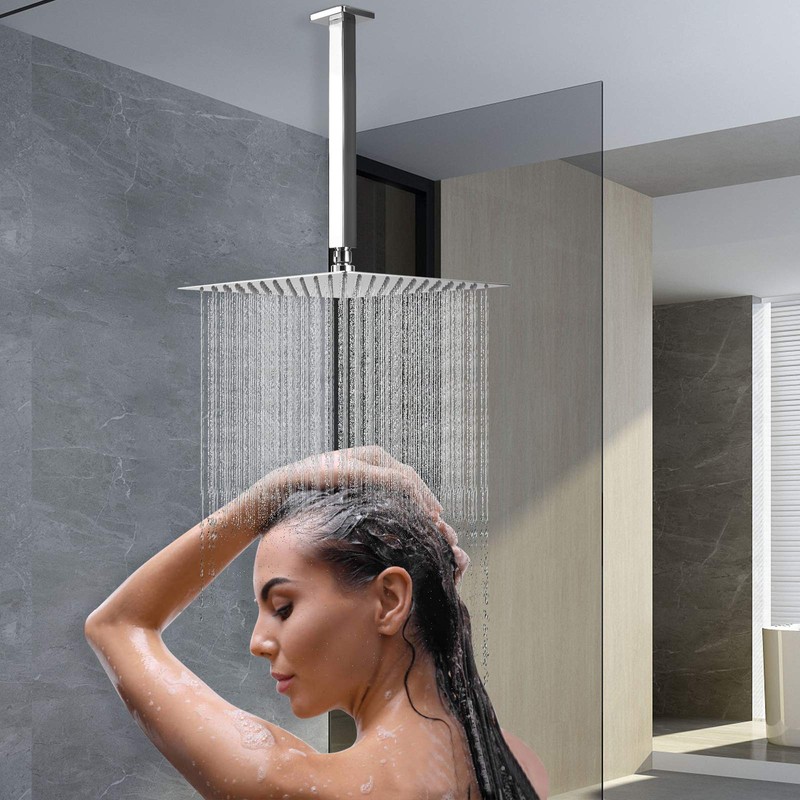 NearMoon Rain Shower Head With Shower Arm, Ceiling Mount Square