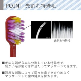 Ebis The Premium Care Gum Massage Plus Soft