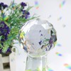Together-life 2 Pack Clear Cut Crystal Ball Prisms Glass Sphere