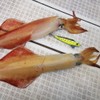 KEYSTONE Egi Lure, Fast Happiness Type, All Luminous Type, M