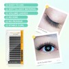 NAGARAKU W Shape Eyelash Extension 4D VolumeCluster Premade Fans Eye