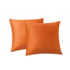 RainRoad Fall Orange Throw Pillows Covers Set of 2 Soft