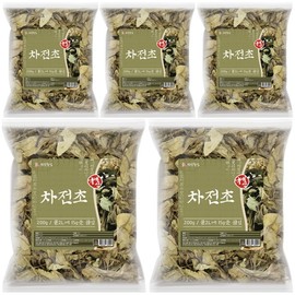 Domestic plantain tea, 5 packs of 200g / 국산 질경이차 차전초 200g 5개