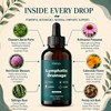 ELAVYN Lymphatic Drainage Drops, Maximum Potency Formula,Fluid Retention