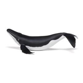 Papo - Hand-Painted - Figurine - Marine Life - Whale Calf Figure-56035 - Collectible - for Children - Suitable for Boys and Girls - from 3 Years Old