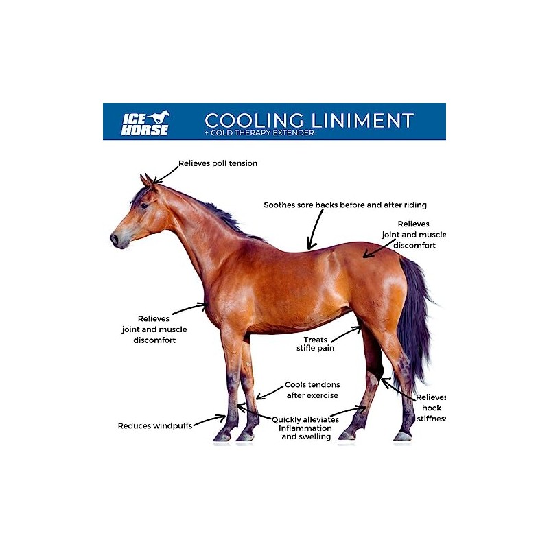 Ice Horse Cooling Liniment and Cold Therapy Extender