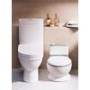 Joylittle Potty Training Toilet-Modern Look-Simple Design