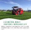 Organic Tea, Shizuoka Tea, No Pesticides, No Chemical Fertilizers, 100%