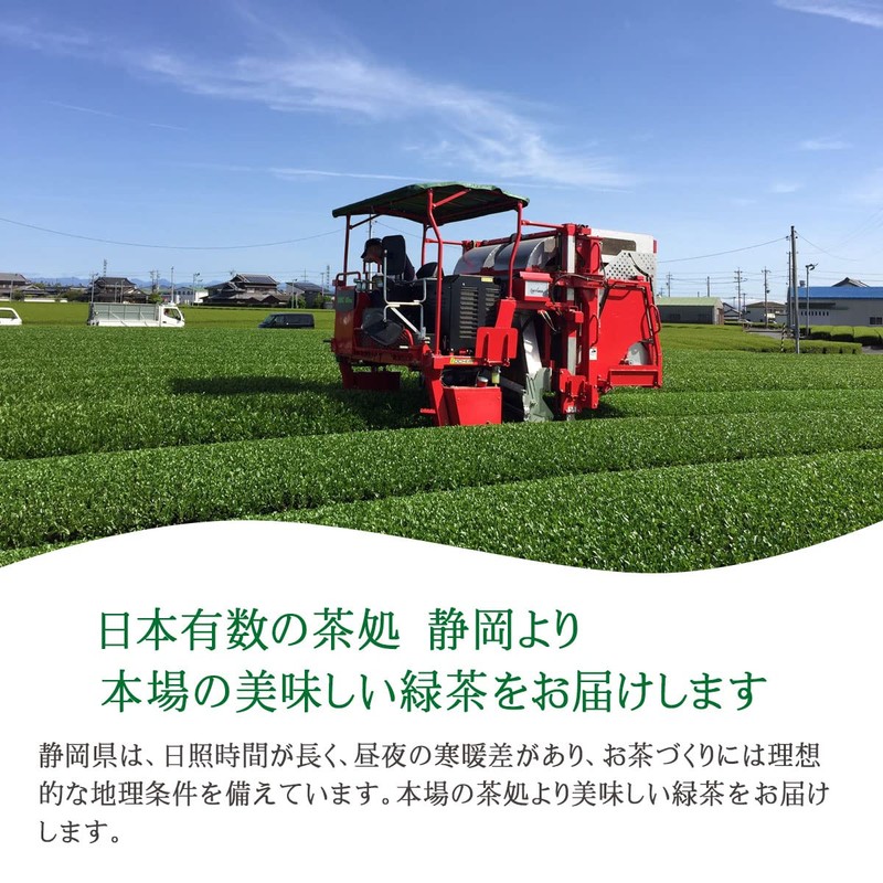 Organic Tea, Shizuoka Tea, No Pesticides, No Chemical Fertilizers, 100%