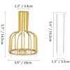 Table Flower Vase,Gold Geometric Metal Frame Clear Glass Tube Bud