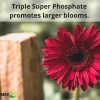 Easy Peasy TRIPLE SUPER PHOSPHATE FERTILIZER 0-46-0 | phosphorus fertilizer