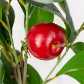 Factory Direct Craft Artificial Red Apple Stem for Summer Arrangements and Fruit Displays - 35 Inches Long