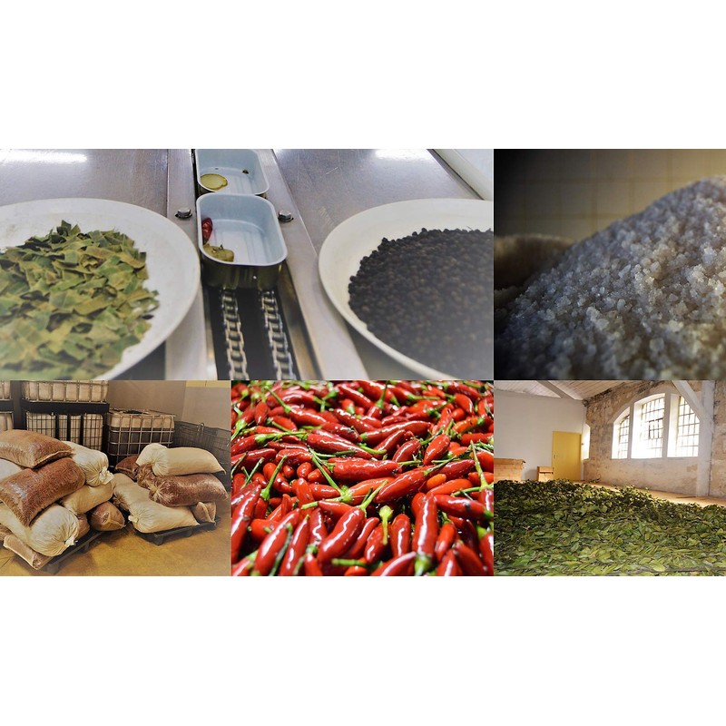 NURI Portuguese Sardines in Spiced Olive Oil - 2 Pack