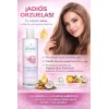 2 Corrector De Orzuela Sella Las Puntas 265ml Shelo Nabel