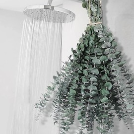 12 PCS Dried Eucalyptus Stems for Shower - 17" Preserved Eucalyptus Stems Shower Plant, Fresh Real Eucalyptus Leaves for Shower Hanging, Home Decor, Dried Flowers