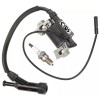 Unbranded Ignition Coil & Spark Plug for Harbor Freight Predator