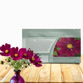 Outsidepride Sonata Purple Cosmos Bipinnatus Seeds - 50 Pcs Annual, Easy to Grow & Drought Tolerant, Flower Seeds for Planting w/Compact Mounded Blooms, Ideal for Cut Flower & Wildflower Meadows