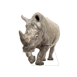 Cardboard People White Rhinoceros Life Size Cardboard Cutout Standup