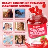 Potassium Magnesium Gummies,High Absorption Magnesium Glycinate,D3 & B6,Potassium Citrate -