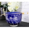 Ebros Gift Artistic Donburi Ramen Udon Noodles Soup Salad 5"