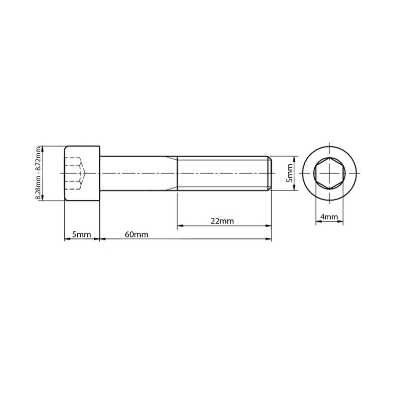 M5 (5mm x 60mm) Allen Socket Cap Head Screws Ð