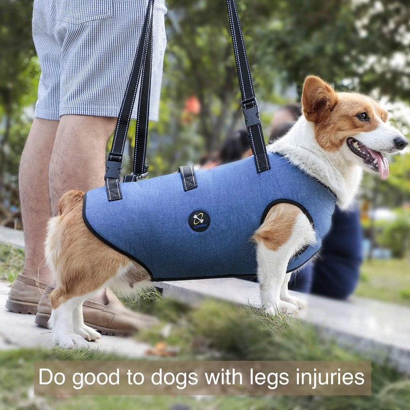 Coodeo Dog Lift Harness, Pet Support & Rehabilitation Sling Lift