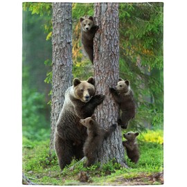 KLRIGR Soft Cozy Fleece Throw Blanket for Couch, Brown Bear Woods, 60X80 Inches