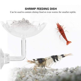 Shrimp Feeding Dish, Acrylic Sucker Cup Design Aquarium Bowl Tray Water Food Smaller Reptile Worms Pets Dish Feeder Bowl
