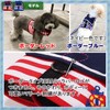 HAG-r Harness, Dog, Sailor Uniform, Stylish, Small and Medium Dogs,