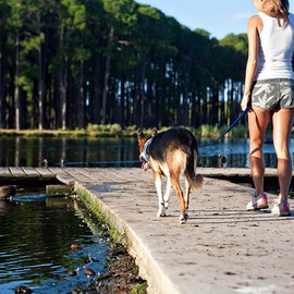 EZYDOG Vario 4 Multi-function Lead - Adjustable 3-6 Foot Dog Lead for Small, Medium & Large Dogs (Grey)