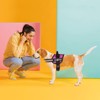 Dogline Vest Harness for Dogs and 2 Removable Do Not