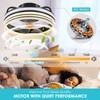 Flush Mount Ceiling Fan with Light - Small Low Profile