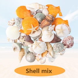 Anseom Shells, Decorative Shells Starfish, Mixed Ocean Shells, Sea Shells for Vase Filler Beach Theme Party Home Wedding Decorations DIY Craft Fishing Net Decoration