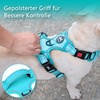 PoyPet No Pull Dog Harness, Reflective Dog Harness for Dogs