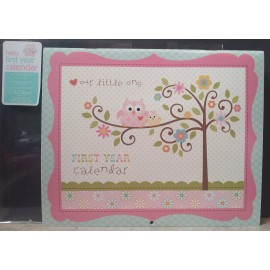 CR Gibson C. R. Gibson Our Little One First Year Baby Calendar & Stickers ( BA3-9022U )