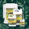 SUPERthrive® Pro-Tekt® 0-0-3 Silicon Supplement for Plants, 8 oz.