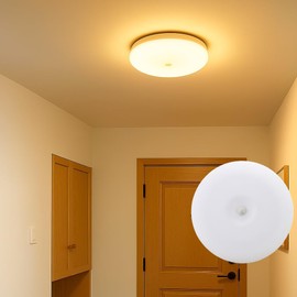 Wa-Takuryouhin Ceiling Light Small Human Detection Sensor Entrance Light Daylight White 4-6 Tatami Coverage 1100LM Slim Automatic Lighting Energy Saving Hallway Entrance Lighting Human Detection