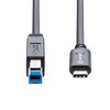 IO Crest SY-CAB20193 USB Type C to USB 3.1 Standard-B